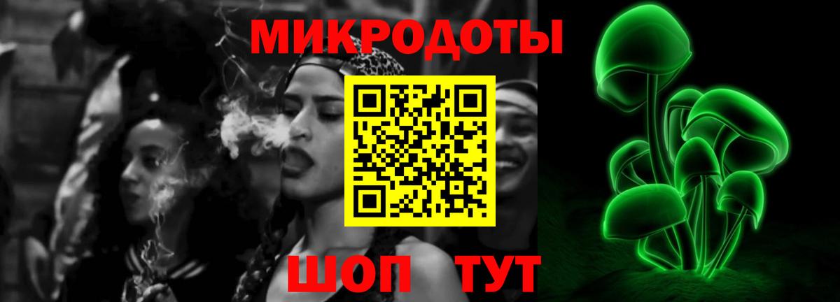 Гатчина  купить закладку  Вход с VPN  Псилоцибиновые грибы GOLDEN TEACHER  Галлюциногенные грибы Psilocybine cubensis 